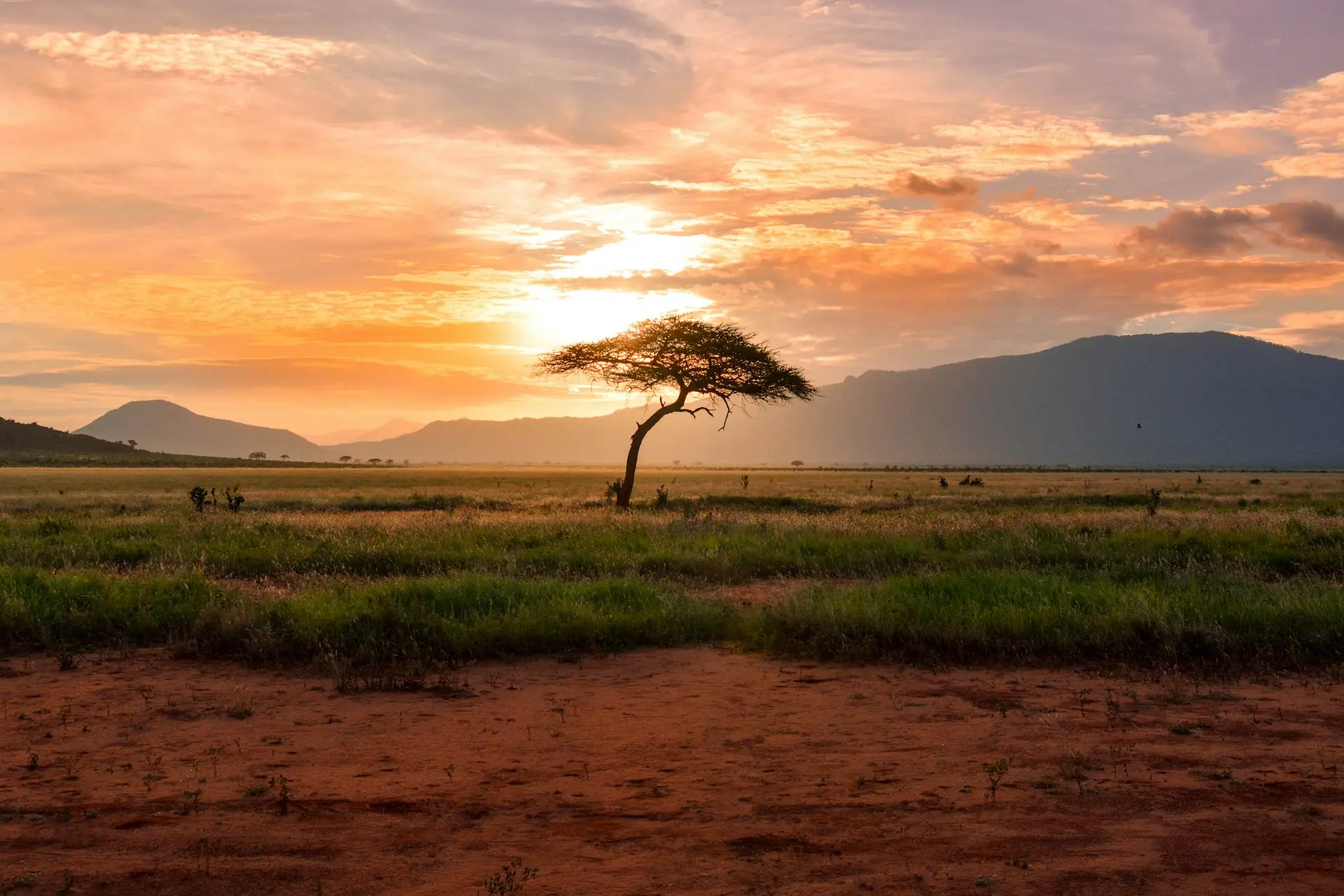 Destination photo: Africa