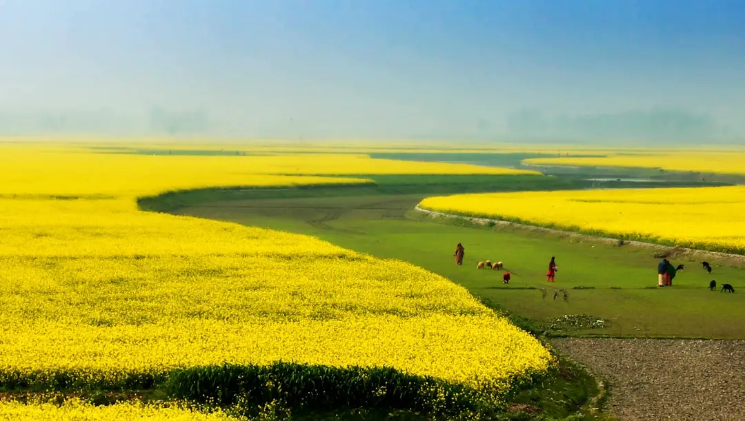 Destination photo: Bangladesh