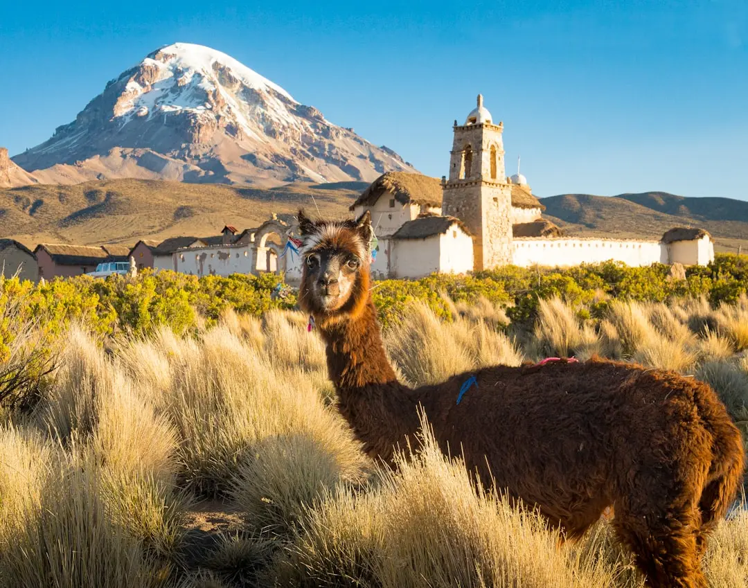 Destination photo: Bolivia