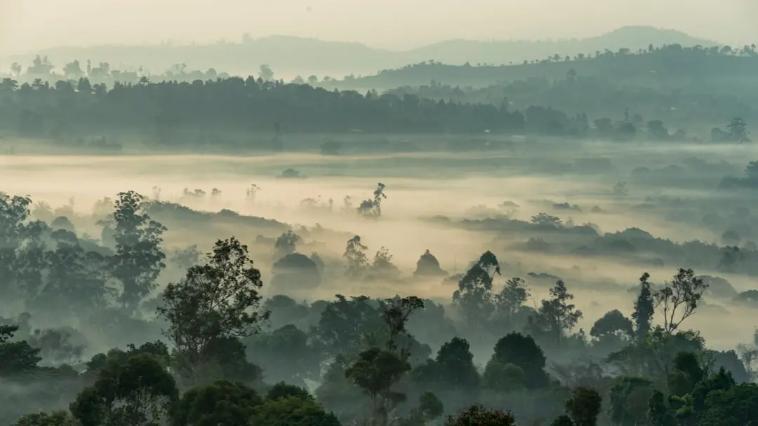 Destination photo: Cameroon