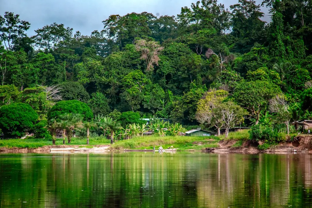 Destination photo: Gabon