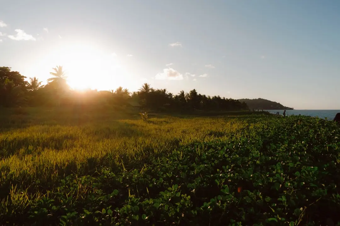 Destination photo: French Guiana