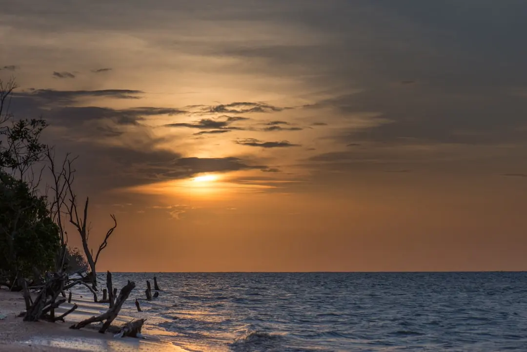 Destination photo: Suriname