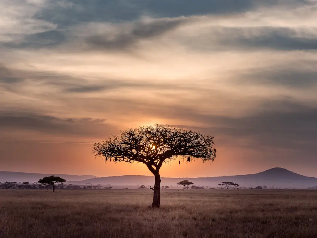 Destination photo: Tanzania